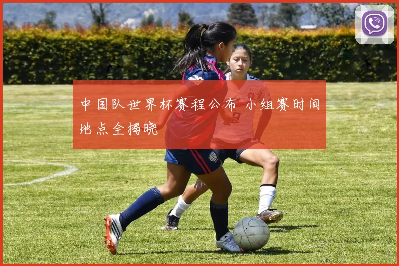中国队世界杯赛程公布 小组赛时间地点全揭晓
